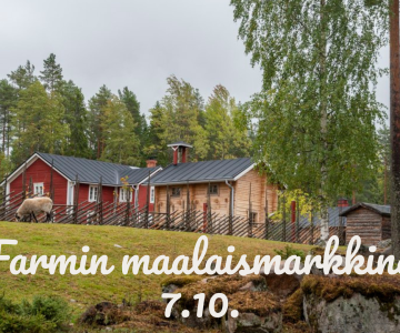 Farmin maalaismarkkinat 7.10.